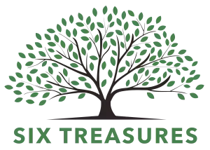 lexington ky six treasures ministry logo